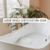 ProDoula Labor Doula Certification